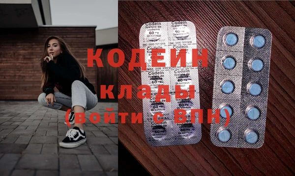 индика Богородск