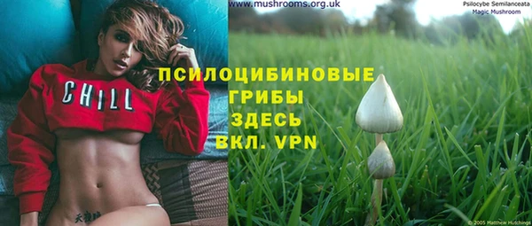 дмт Дубовка