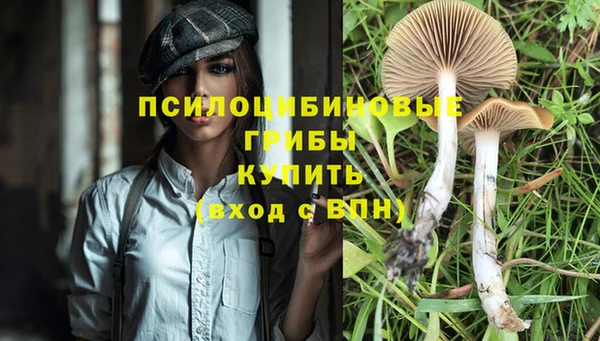 таблы Дрезна