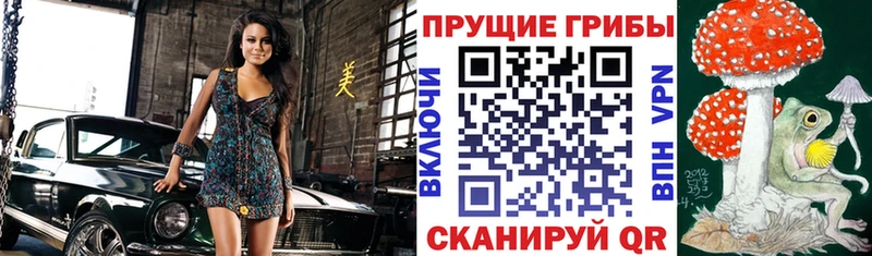 Галлюциногенные грибы мухоморы  MEGA сайт  Курильск 